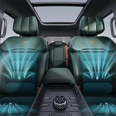 Cooled & Ventilated Seat